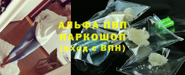 сатива Богородицк