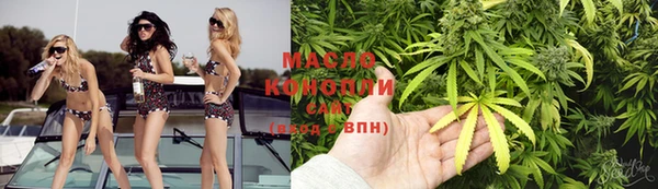стаф Ельня